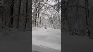 Winter Wonderland #dragonoš #winter #winterwonderland #croatia ##croatiafulloflife #snowday