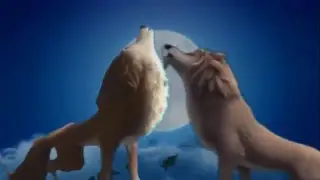 ((PREVIEW)) Alpha and Omega~I Know I'm A Wolf {HD 1080p}