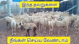 பண்ணையின் இழப்பு 😔😥இந்த symptoms இருந்தால் கவனமாக இருங்கள் இல்லைன்னா நமக்கு தான் இழப்பு