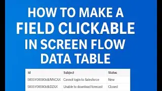 FLOW38: How to Make a Field Clickable in Screen Flow Data Table || Salesforce Formula HYPERLINK