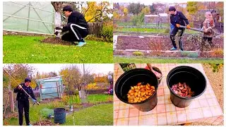 Побелка деревьев/Собираю листья 🍂/Поставила плиты для 2-х грядок 👍🌹