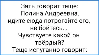 Зять Предложил Тёще Потрогать и Охи-Вздохи!!! Смешная Подборка Анекдотов!!!