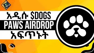Paws telegram airdrop| next dogs & notcoin| Paws mining new airdrop