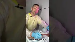 День анатомии  кисти DASTA