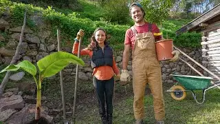 Challenges planting a FRUIT FOREST on our homestead