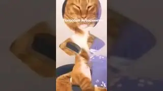 попробый не засмеятся 