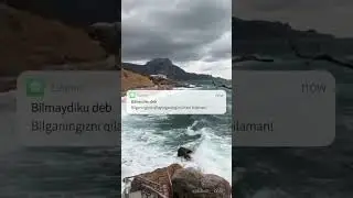 Bilib turib indamadik jonlari sog'bolsin