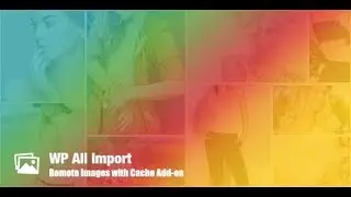 WP All Import Remote Images with Cache Add-on
