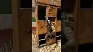 самый огресивный банкомат который я видел. Мармок 😅😂