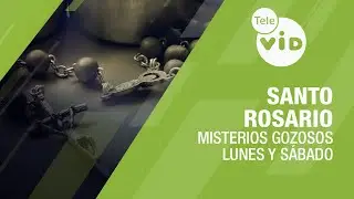 Santo Rosario 📿 Misterios Gozosos - Lunes y Sábado, Tele VID 