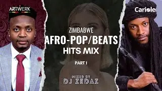 Zimbabwe Afro-pop/Beats Hits [Part 1] Video Mix (ft Holy Ten, Killer T, Julian King, Winky D & More)