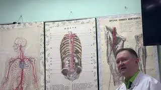 Видеолекция 