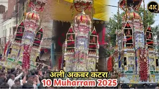 Zaidpur 10 Muharram 2025/1447 | Ali Akbar Katra Taziya | Juloos