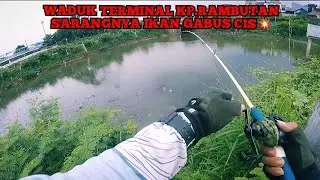 🔴SPOT CASTING IKAN GABUS JAKARTA|AYO MUMPUNG LG RAME CIS💥 #mancingikangabus #mancing #mancingliar