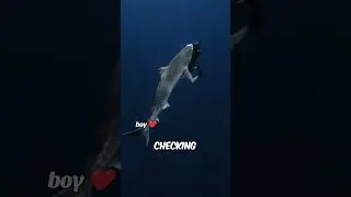 HUGE MONSTER 😱 #shorts #shark #thalassophobia #creatures #viral