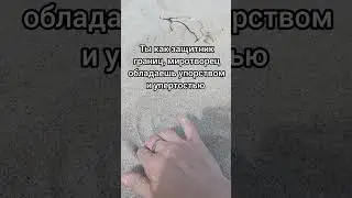 в чём суть имени Ольга? #квантоваянумерология #нумерология #значениеимени #ольга