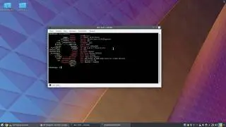Kubuntu или KDE neon - что выбрать?