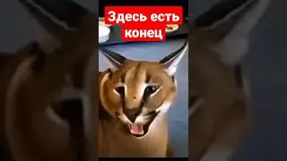 кхуй кхуй кхуй