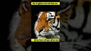 Interesting fact l चिता से जुड़े रोचक तथ्य। #shorts #youtubeshorts #interestingfacts @CrazyXYZ