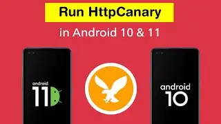 How to run HttpCanary in Android 11 & 10