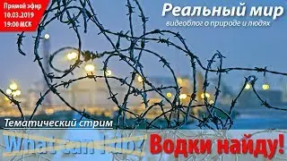 «Что Я могу сделать? [для сохранения природы]. Запись стрима на канале «Реальный мир» от 10.03.2019.