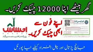Ehsaas program || how to check 12000 online || Free Internet