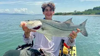 Low Tide Mangrove Fishing for Snook