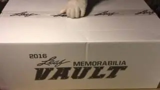 DAMON AND DIZZLE OPEN A BOX OF 2016 LEAF THE VAULT MEMORABILIA