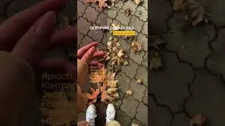 обработка для твоих осенних фото и видео#instagram #storis #smm #полезно #приколы #смех #смешно