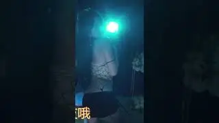 【胡椒】【网易cc 高挑  纯欲 美女主播 小吊带 热裤 网袜 性感热舞 表情诱惑】