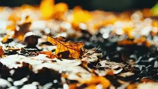 November - Ambient Track