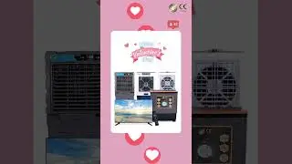 Valentine's Day with CineGold