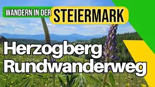 Herzogberg circular hiking trail - experience and enjoy Styria