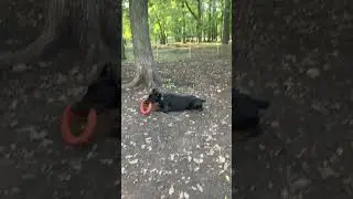 Так могут лишь 2% людей