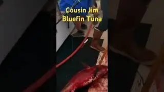 Cousin Jim , Bluefin Tuna
