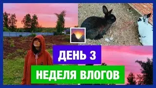НЕДЕЛЯ ВЛОГОВ:ДЕНЬ 3/ПОЕЗДКА В ЛАГЕРЬ