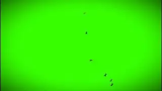 Creepy Greenscreen