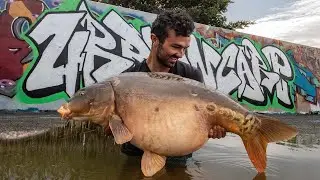 Karpfenangeln am Kanal I URBANCARP Part six (Full Film 2019)