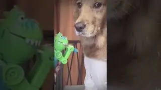 Ну как не улыбнуться!