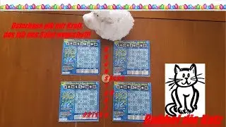 Rubbel die Katz - Crossword Rubbellose. Osterhase gib mir Kraft, das ich den Buchstabensalat schaff!