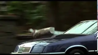 Jumanji 1080p Piece of cake!