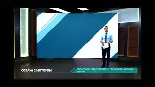 Выпускник Экспресс-ТВ Роман Васильев