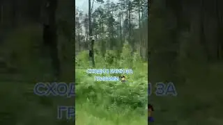 Съездил за грибами