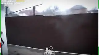 желтые штанишки Апти алаудинова