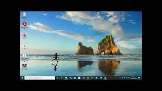 MEVyT en Línea Ruffle 2021-Flash Player