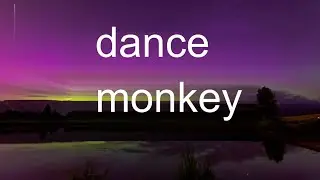 dance monkey tones and i dance monkey  (lyric) -tones and i - dance monkey lyrics 🎵