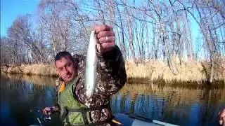 Ловля корюшки осенью с лодки
