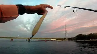 Pier POPPING Dusk Bluefish - Pier Pencil Popping for Dusk Blues - PPP to the FFF