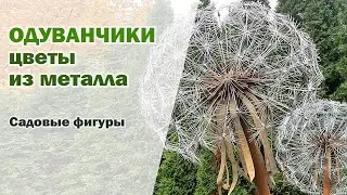 ОДУВАНЧИКИ из металла I САДОВЫЕ ФИГУРЫ I Цветы из металла для сада