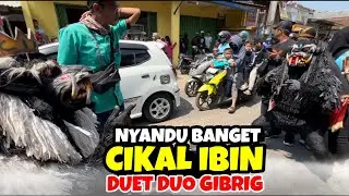 GRANDONG DUO GIBRIG CIKAL IBIN MENGHIBUR PENONTON❗️❗️KUDA LUMPING MUTIYARA SURYA PUTRA💥LEMBUR KURING